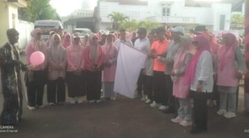 HUT IBI KE 74 Tahun, Bupati Berpesan Untuk Tetap Semangat. Sebab Bidan Merupakan Pintu Lahirnya Generasi Penerus.