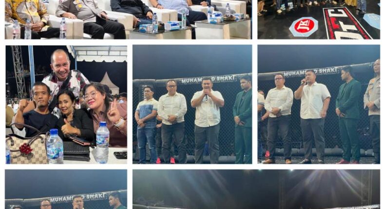 foto slider headline