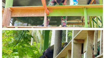 Satgas TMMD Ke -127 Kodim 0111/Bireuen Lanjutkan Pengecatan Balai Pengajian Bustanul Falah Assamdiah di Jeumpa Sikureung