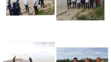 Polres Aceh Tamiang Temukan Kayu Bulat Jenis Sengon Tanpa Dokumen yang Sah