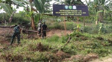 Dari Semak Jadi Kebun, Satgas TMMD Aceh Timur Buka Lahan Hanpangan 1 Ha di Alue Canang