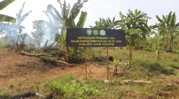 Masuki Tahap Kritis, Satgas TMMD 128 Aceh Timur Olah 1 Hektare Lahan Tidur Jadi Kebun Produktif di Alue Canang