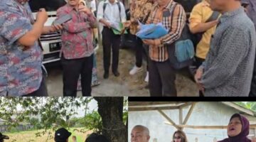 Tidak Ada Grant Sultan Di Objek Lahan Sengketa