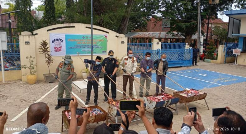 foto slider headline