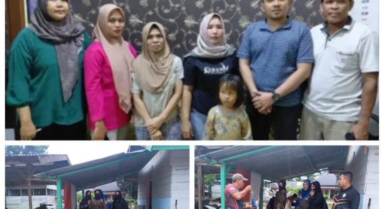 foto slider headline