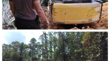 Tetap Panen Di Lahan Negara, Masyarakat Sesalkan Sikap PT Barapala