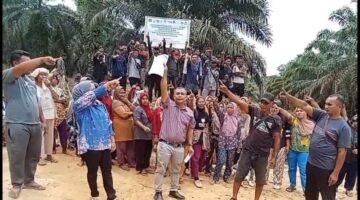 Masyarakat Luat Unterudang Minta PT Barapala Diusir Dari Lahan Warga