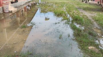 Kondisi UPTD SD Negeri 11 Jeunieb Memprihatinkan.