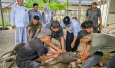 berita-pilihan-foto