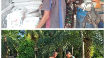 Dua Aksi Babinsa Koramil 04/Bendahara: Pantau Harga Sembako dan Bantu Petani Jemur Padi