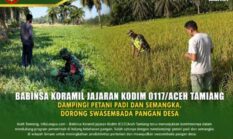 berita-pilihan-foto