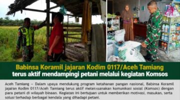 Babinsa Kodim 0117/Aceh Tamiang Turun ke Sawah, Bahas Peningkatan Hasil Pertanian dan Cek Stok Pupuk