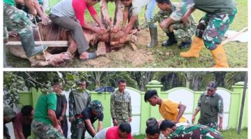 Dandim 0117/Aceh Tamiang Bersama Keluarga Saksikan Penyembelihan Hewan Kurban Idul Adha 1447 H