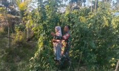 berita-pilihan-foto