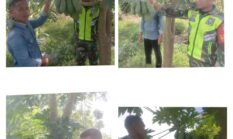berita-pilihan-foto