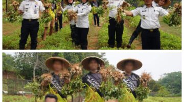 Dukung Program Ketahanan Pangan, Rutan Kelas I Tangerang Panen Kacang Tanah dan Cabai Bersama Warga Binaan.