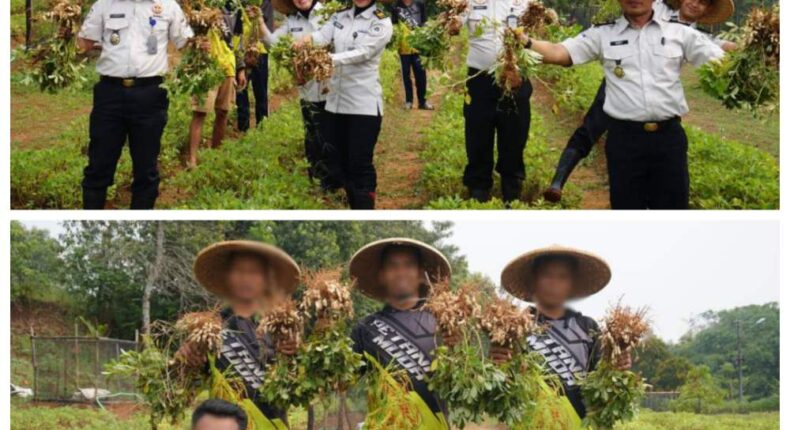 foto slider headline
