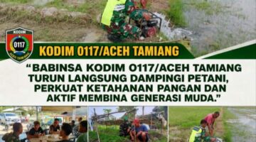 Wujud Kemanunggalan TNI-Rakyat: Aksi Babinsa Kodim 0117/ATAM di 3 Kecamatan