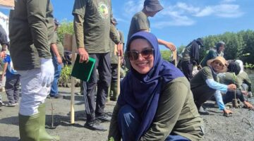Medco E&P dan BPMA Tanam 1.000 Mangrove di Banda Aceh