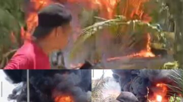 Advokat Wartawan IWO Mendesak APH Polres Aceh Timur Hingga Polda Aceh Dan Mabes Polri Mengusut Tuntas Atas Peristiwa Ini.