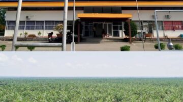 Kasus PTPN IV Cot Girek, Akademisi USK Dorong Dialog Permanen dan Penegakan Hukum