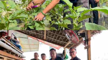 Dukung Ketahanan Pangan dan Pemberdayaan Warga Binaan, Kakanwil Ditjenpas Aceh Tinjau Layanan Dapur Hingga Panen Telur di Lapas Kota Bakti