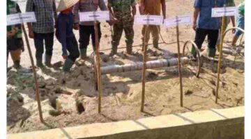 Polsek Karang Baru Monitor Tanam Padi Serempak Brigade Pangan di Sukajadi Paya Bujok