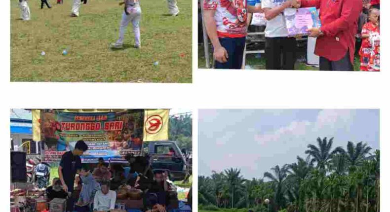 foto slider headline