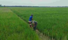 berita-pilihan-foto