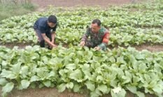 berita-pilihan-foto