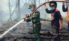 berita-pilihan-foto