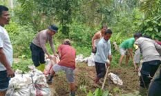 berita-pilihan-foto