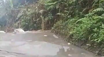 Jangan Tunggu Sungai Rusak Total! Dugaan Limbah PETI Mengalir ke Aliran Sungai, APH Diminta Turun