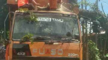 TRC BPBD Langsa Bergerak Cepat Tangani Pohon Tumbang yang Timpa Truk Fuso