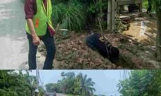 berita-pilihan-foto