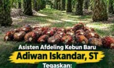 berita-pilihan-foto