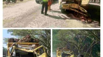 Dua Unit Truck Terlibat Lakalantas, Unit Gakkum bersama Polsek Kejuruan Muda Gatur Lalin Dan Olah TKP