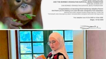 Karhutla Kian Parah, Aktivis Pemuda Putri Nabila Damayanti, SH Soroti Kepunahan Satwa Dilindungi