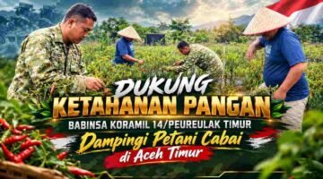 Dukung Ketahanan Pangan, Babinsa Koramil 14/Peureulak Timur Dampingi Petani Cabai di Aceh Timur
