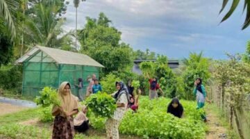 VIRAL! Dari Halaman Rumah Jadi Cuan: 8 Emak-Emak di Indra Makmu Aceh Timur Sukses Mandiri Pangan Berkat Medco E&P, Sayur Panen Tiap Hari!